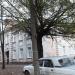 Детско-юношеская спортивная школа № 31 «Атлетика» в городе Великие Луки