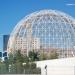 Aviario (es) in Valencia city