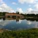 Pond in Madrid city