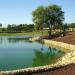 Pond in Madrid city