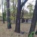 Подземный гараж в городе Кривой Рог