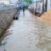 Alandur/ St Thomas Mount Subway in Chennai city