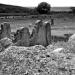 Jewish Cemetery of Vadul-Rascov