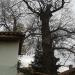 YILDIZ BABA TÜRBESİ, SAFRANBOLU (tr) in Safranbolu city