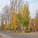 Аллея в городе Саратов