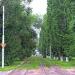 Аллея в городе Саратов