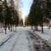Сквер в городе Долгопрудный