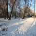 Сквер в городе Долгопрудный