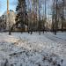 Сквер в городе Долгопрудный