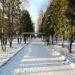 Сквер в городе Долгопрудный