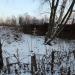 Могила бомжа в городе Долгопрудный