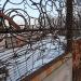 Бывшее неприступное жилище для обиталища бомжей в городе Долгопрудный