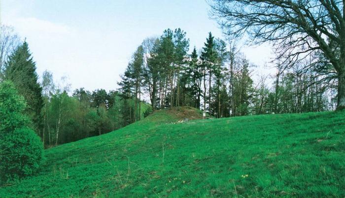 Janionių piliakalnis
