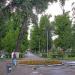 Аллея в городе Саратов