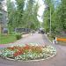 Аллея в городе Саратов