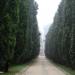 Parc du Château d'Azay-le-Rideau