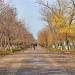 Аллея Героев в городе Энгельс