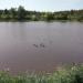 Железнодорожный пруд в городе Домодедово