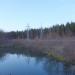 Пруд в городе Лыткарино