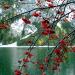 Braies Lake