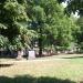 The Olsany Cemetery in Prague city