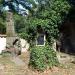 The Olsany Cemetery in Prague city