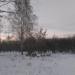 Сваи в городе Барнаул