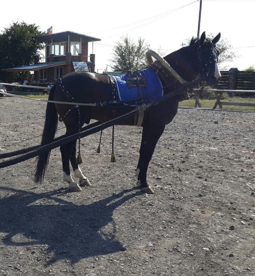 Таганрог
