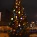Christmas tree in Riga city