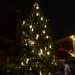 Christmas Tree in Riga city