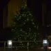 Christmas tree in Riga city