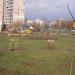 Сквер в городе Киев