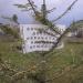 Сквер в городе Киев