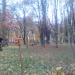 Monument Mother Bear and small bears in Vynohradiv city