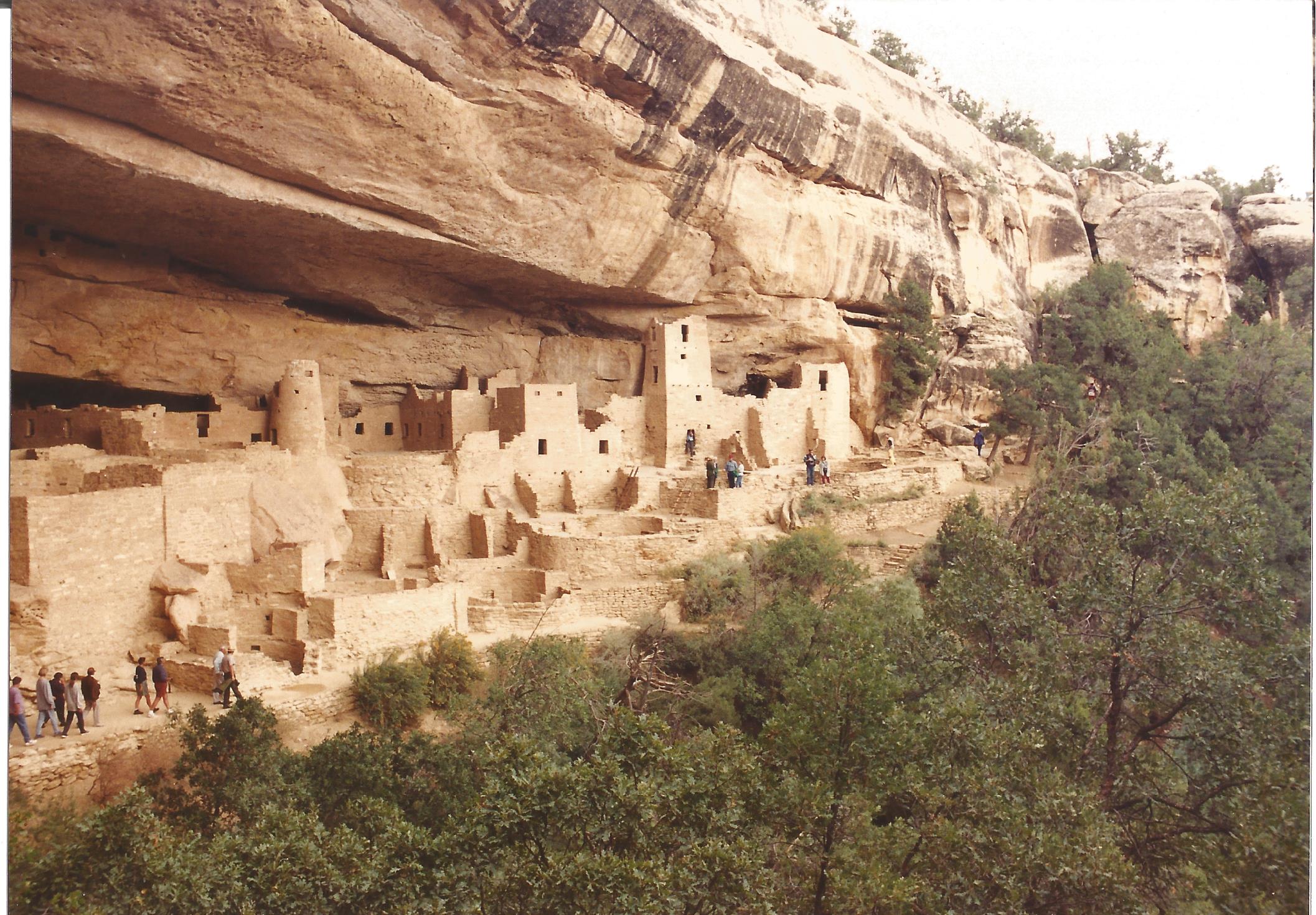 Cliff Palace View