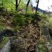 Pieniny Castle