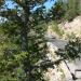 Gore Range Overlook