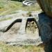 Graves in Prilep city