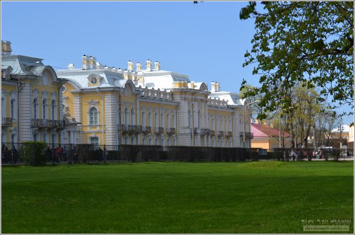 105Петергоф дома фото