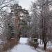 Длинный остров в городе Гатчина