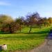 Park Centralny in Bydgoszcz city