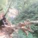 Sumber Pitu (en) di kota Kota Batu