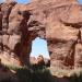 Pine Tree Arch