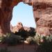 Pine Tree Arch