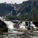 agasthiyar falls .