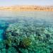 Japanese Gardens in Aqaba city