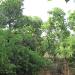 Manimegalai Garden in Periyakattupalayam city