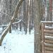 Лесопарковая зона в городе Подольск