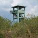 KMTR - Watch Tower (Kalakad Mundanthurai Tiger Reserve)