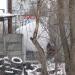 Газовая заправка в городе Днепр